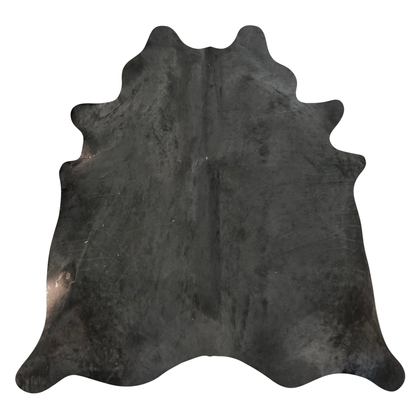 Natural Brazilian cowhide rug in Espresso with a solid, even tone, 240 x 232 cm