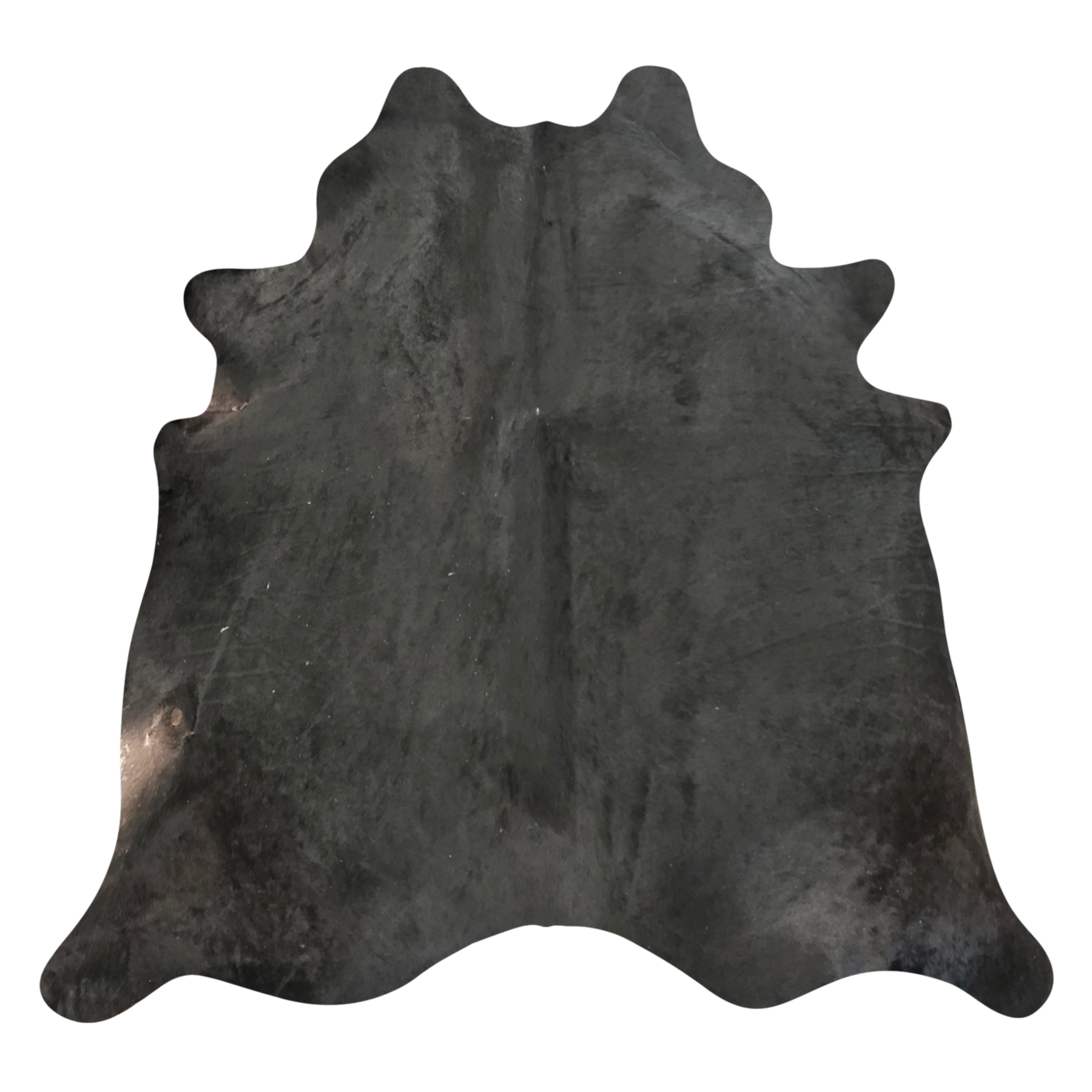 Natural Brazilian cowhide rug in Espresso with a solid, even tone, 240 x 232 cm