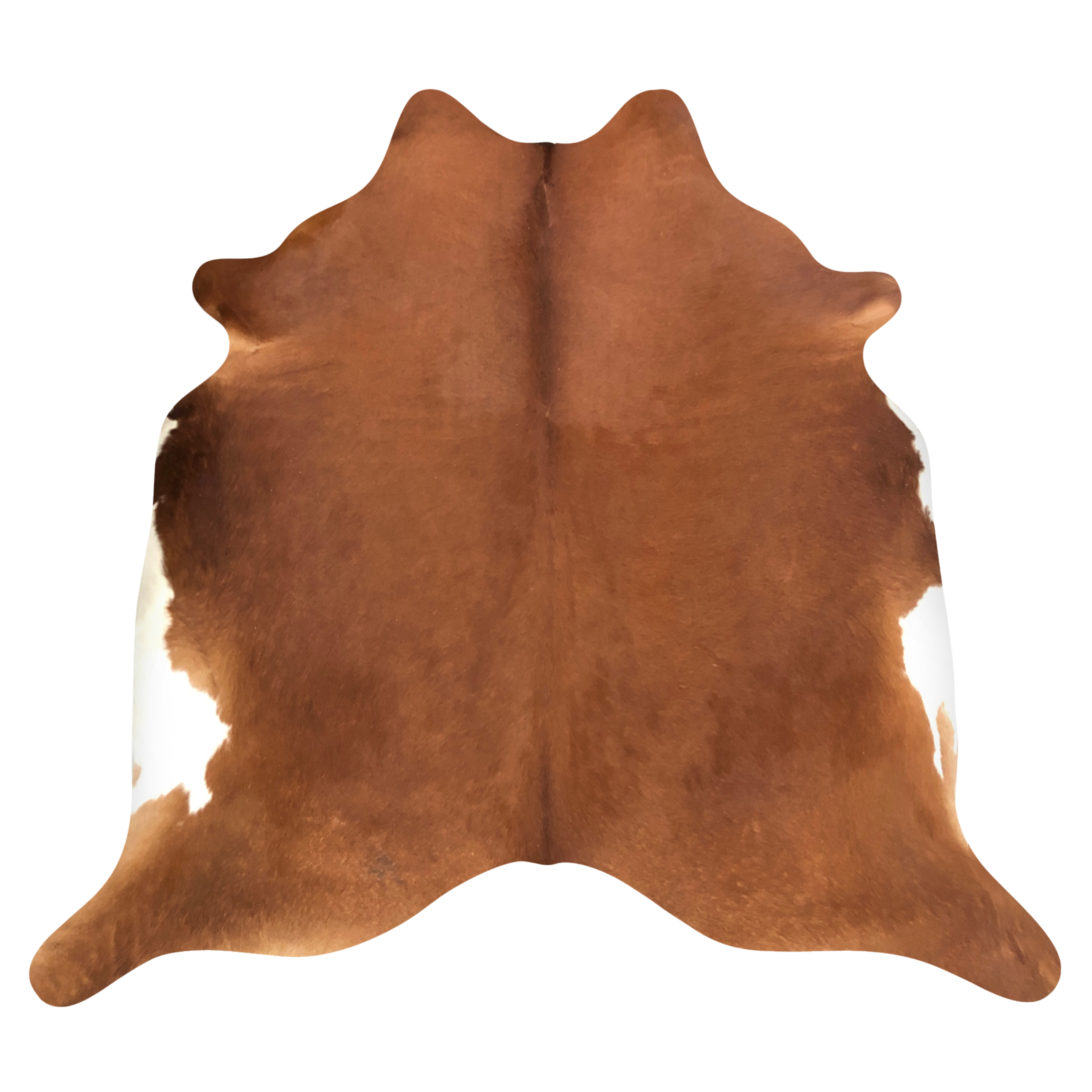 Natural Brazilian cowhide rug in Mocha & Ivory with exotic markings, 220 x 235 cm