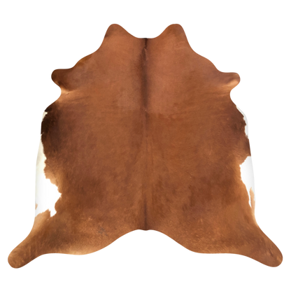 Natural Brazilian cowhide rug in Mocha & Ivory with exotic markings, 220 x 235 cm