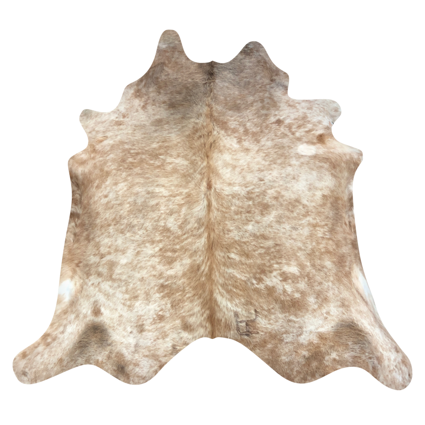 Natural Brazilian cowhide rug in Caramel & Ivory with Exotic markings, 220 x 229 cm