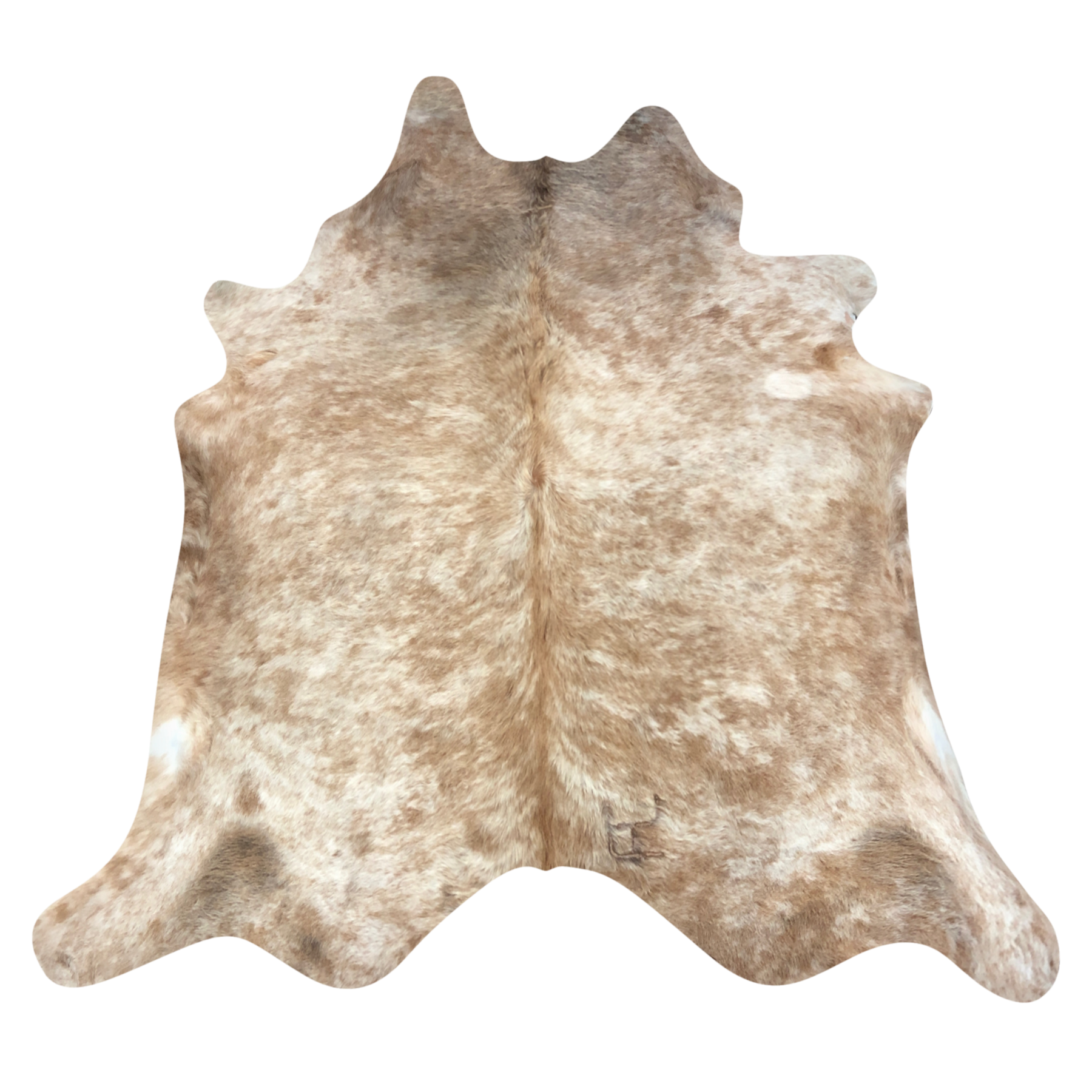 Natural Brazilian cowhide rug in Caramel & Ivory with Exotic markings, 220 x 229 cm