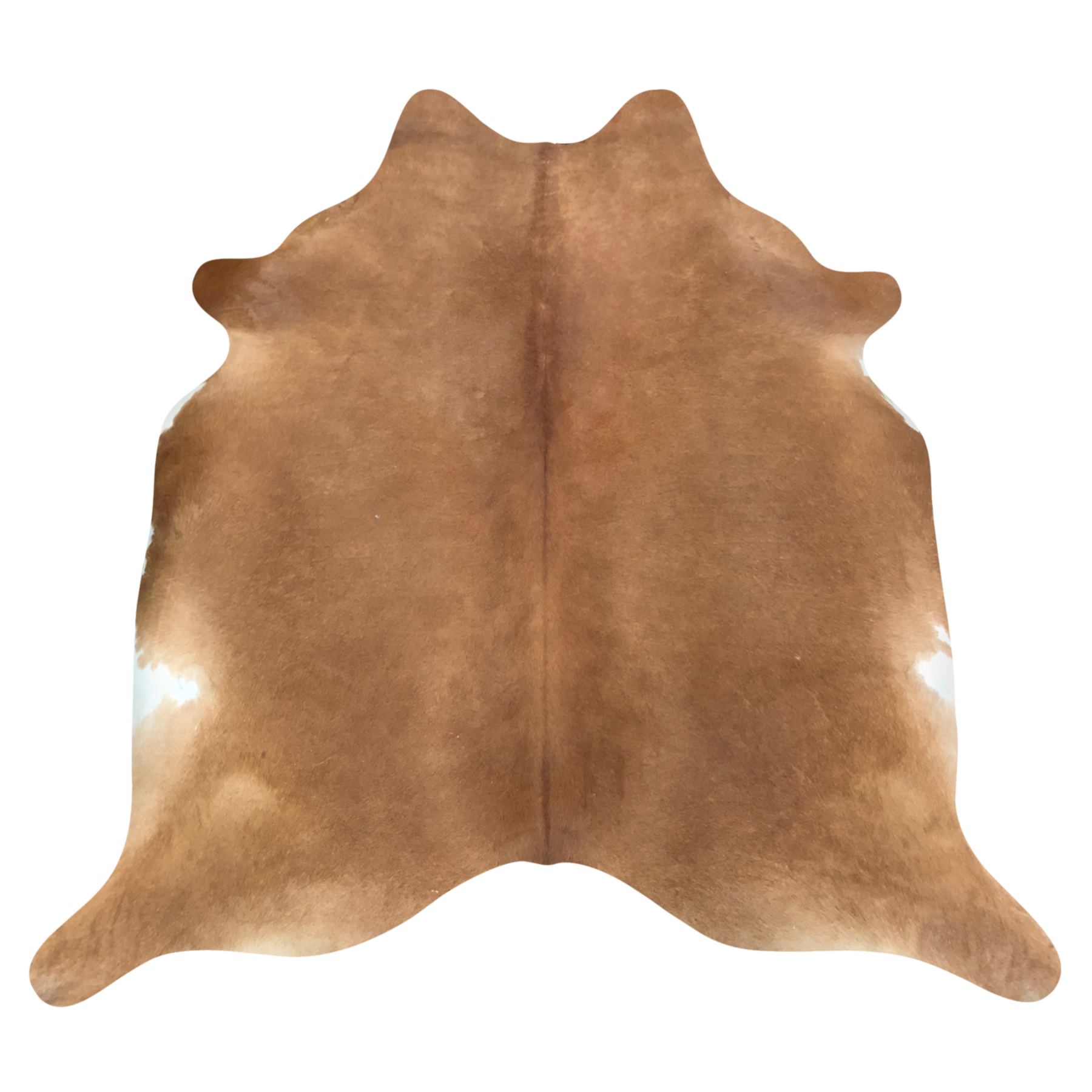 Natural Brazilian cowhide rug in Caramel & Ivory with Exotic markings, 212 x 225 cm