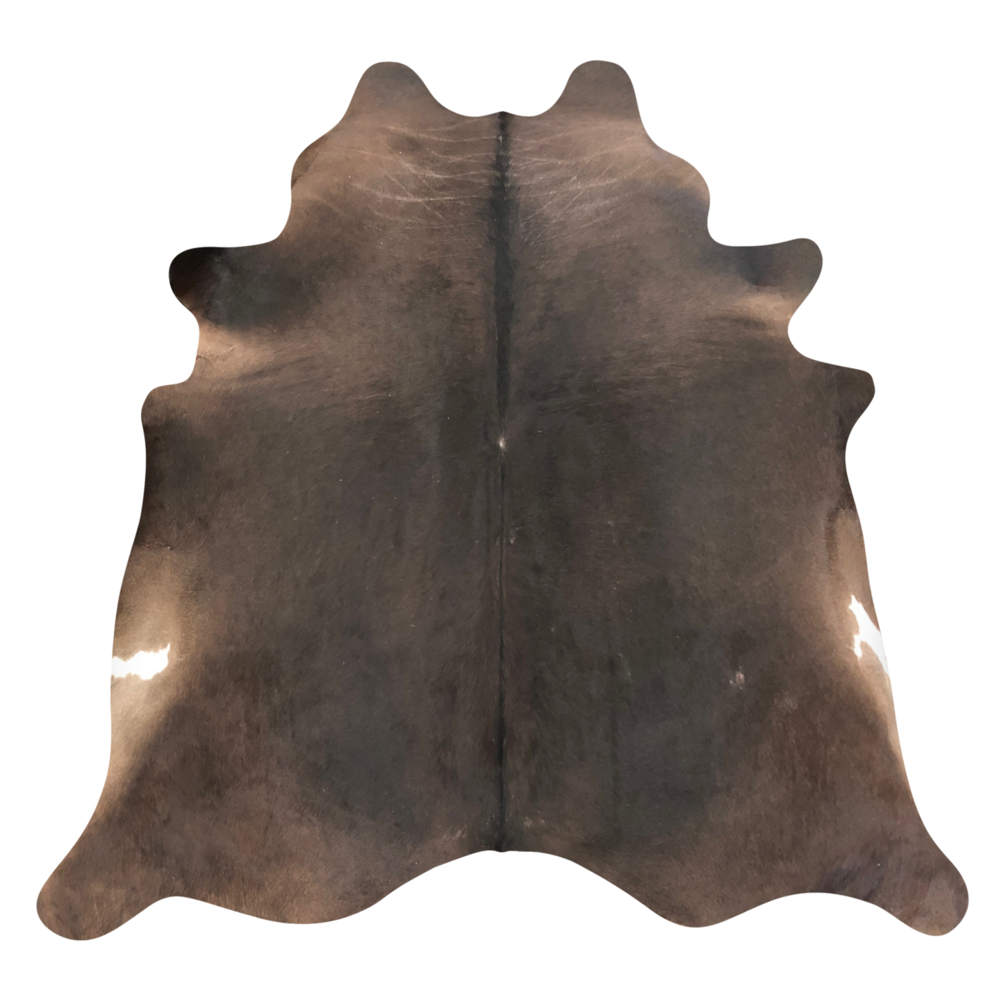Natural Brazilian cowhide rug in Espresso, Caramel & Ivory with Exotic markings, 216 x 230 cm