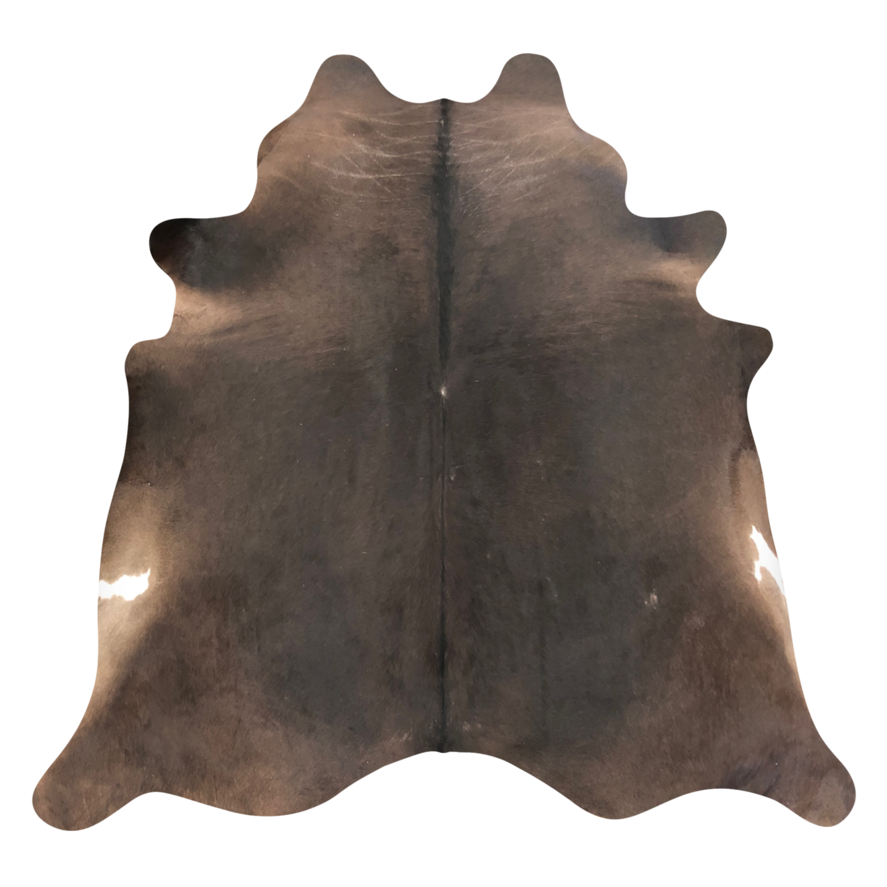 Natural Brazilian cowhide rug in Espresso, Caramel & Ivory with Exotic markings, 216 x 230 cm