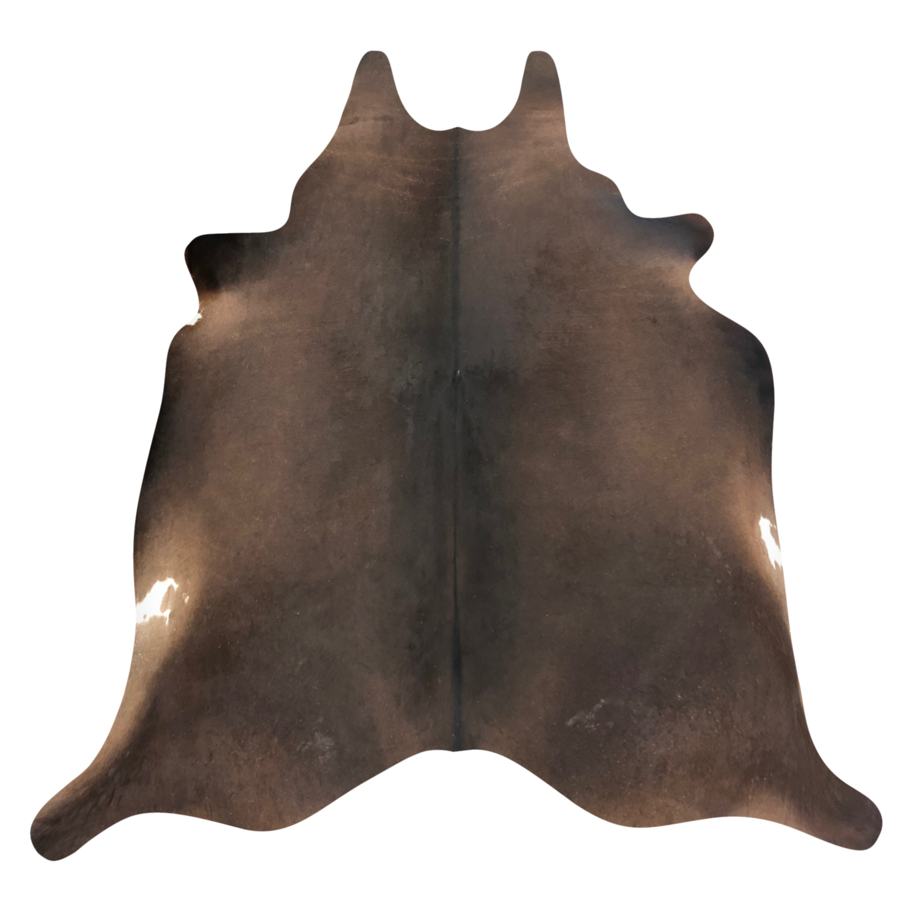 Natural Brazilian cowhide rug in Espresso, Caramel & Ivory with Exotic markings, 223 x 232 cm