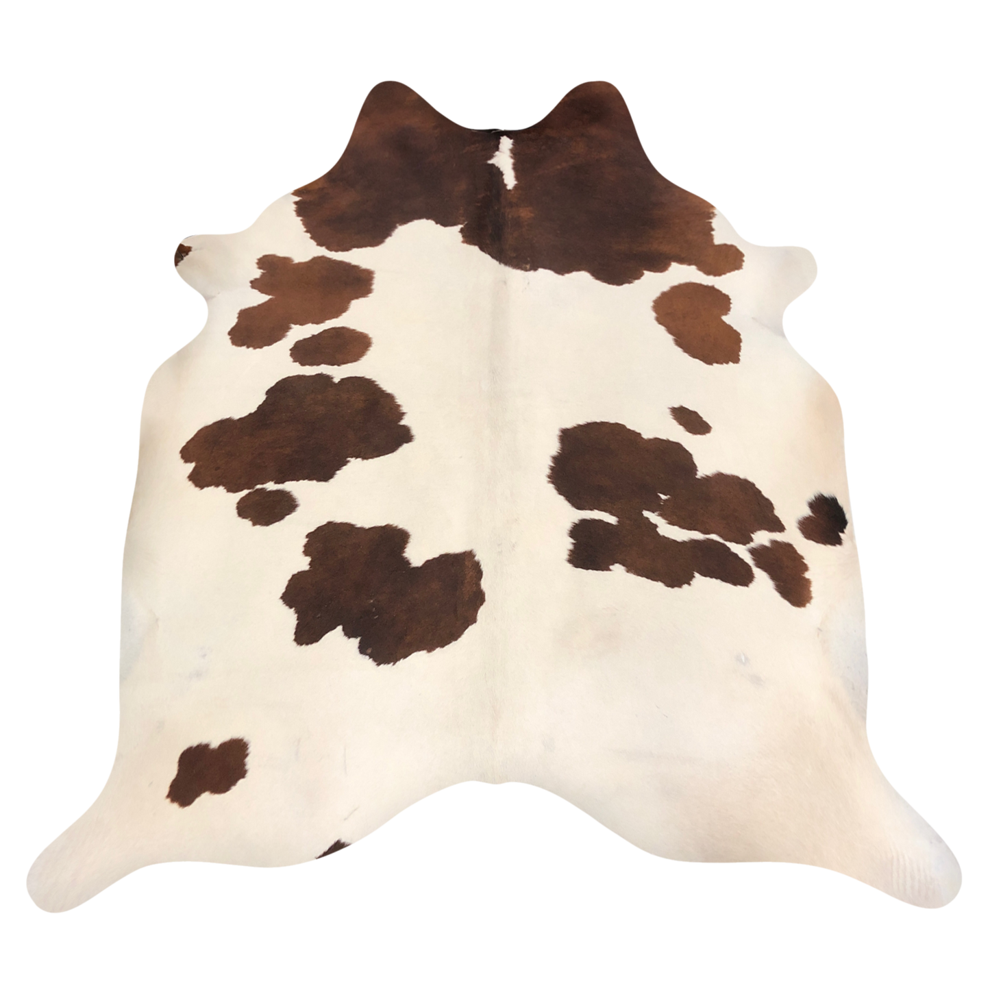 Natural Brazilian cowhide rug in Ivory & Mocha with Exotic markings, 210 x 229 cm
