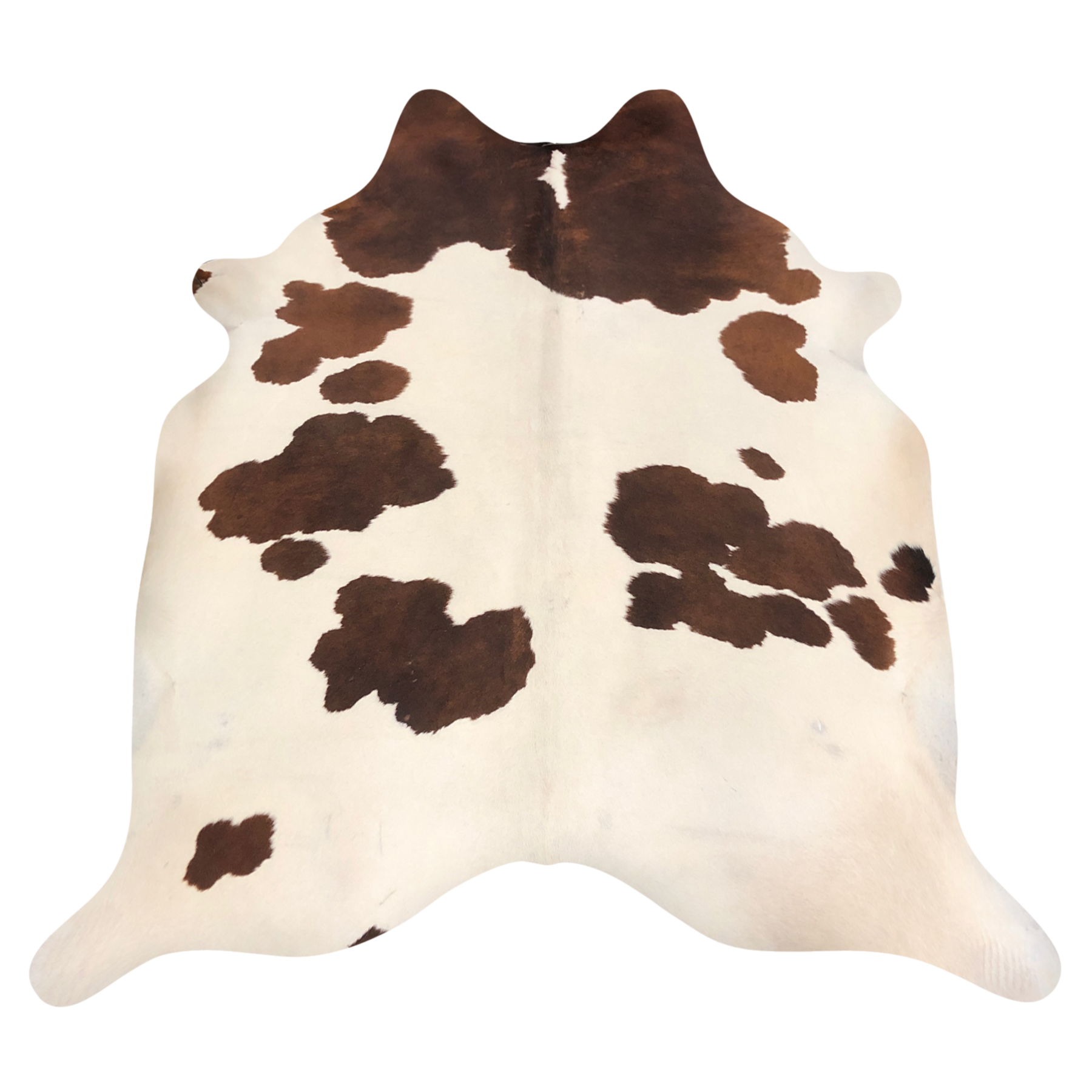 Natural Brazilian cowhide rug in Ivory & Mocha with Exotic markings, 210 x 229 cm
