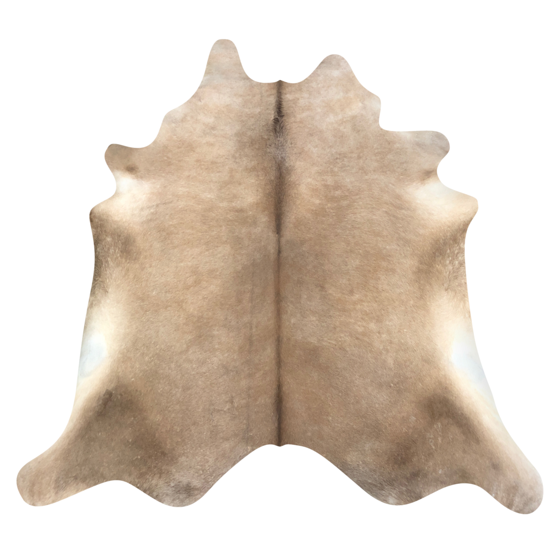 Natural Brazilian cowhide rug in Caramel & Ivory with Exotic markings, 206 x 234 cm