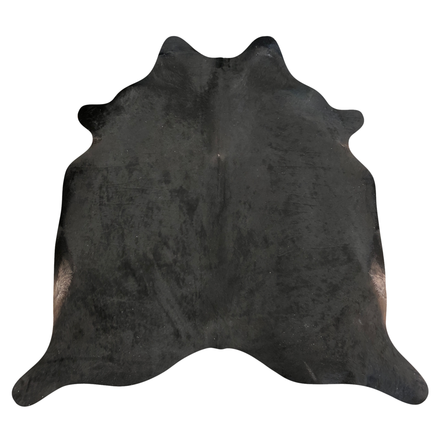 Natural Brazilian cowhide rug in Espresso with a solid, even tone, 214 x 230 cm