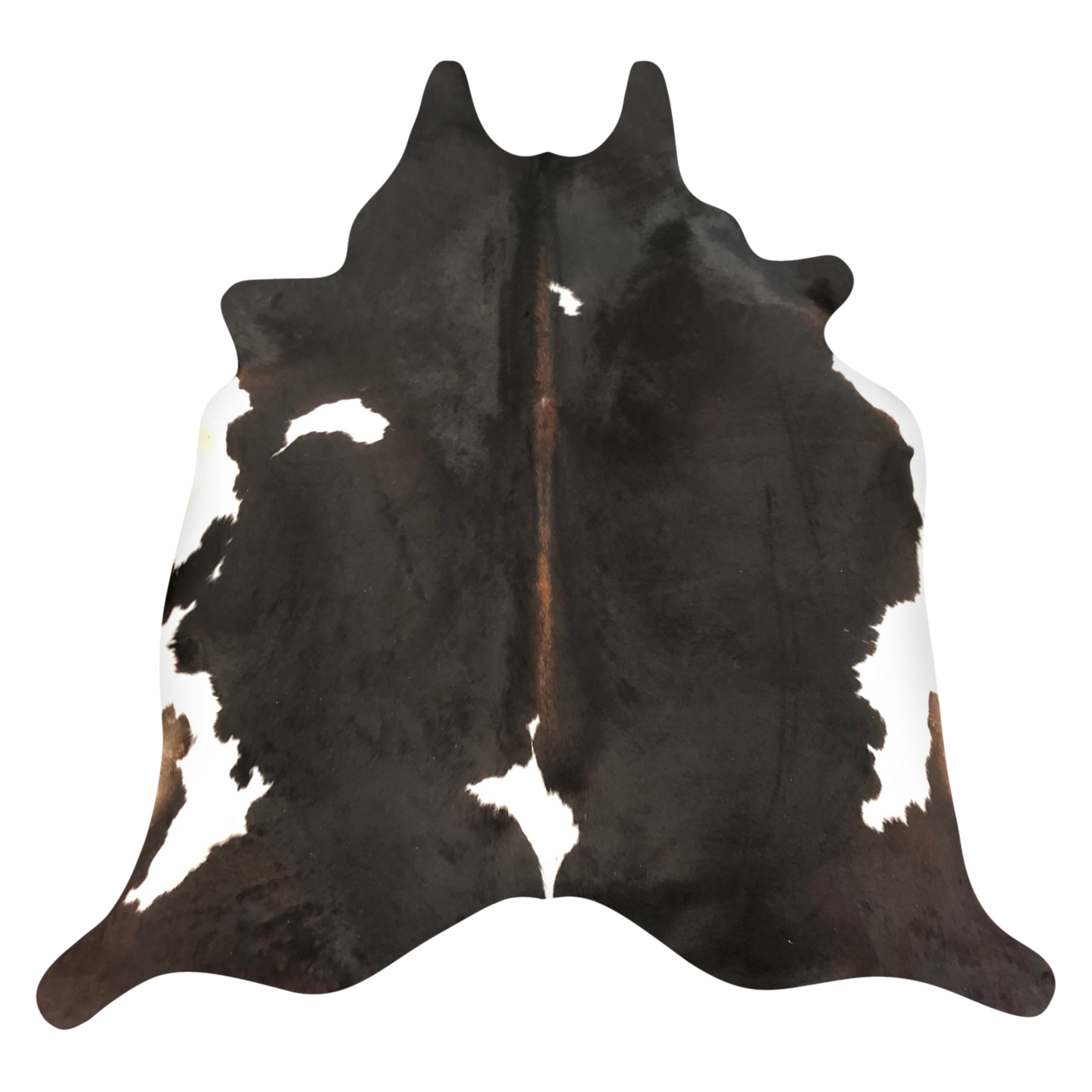 Natural Brazilian cowhide rug in Espresso, Ivory & Mocha with Exotic markings, 208 x 223 cm