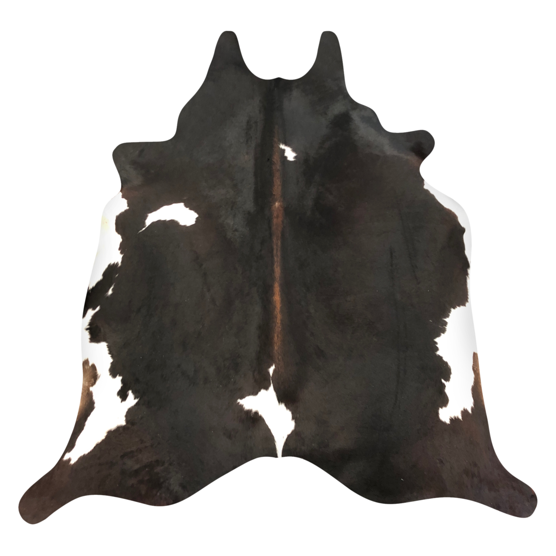 Natural Brazilian cowhide rug in Espresso, Ivory & Mocha with Exotic markings, 208 x 223 cm