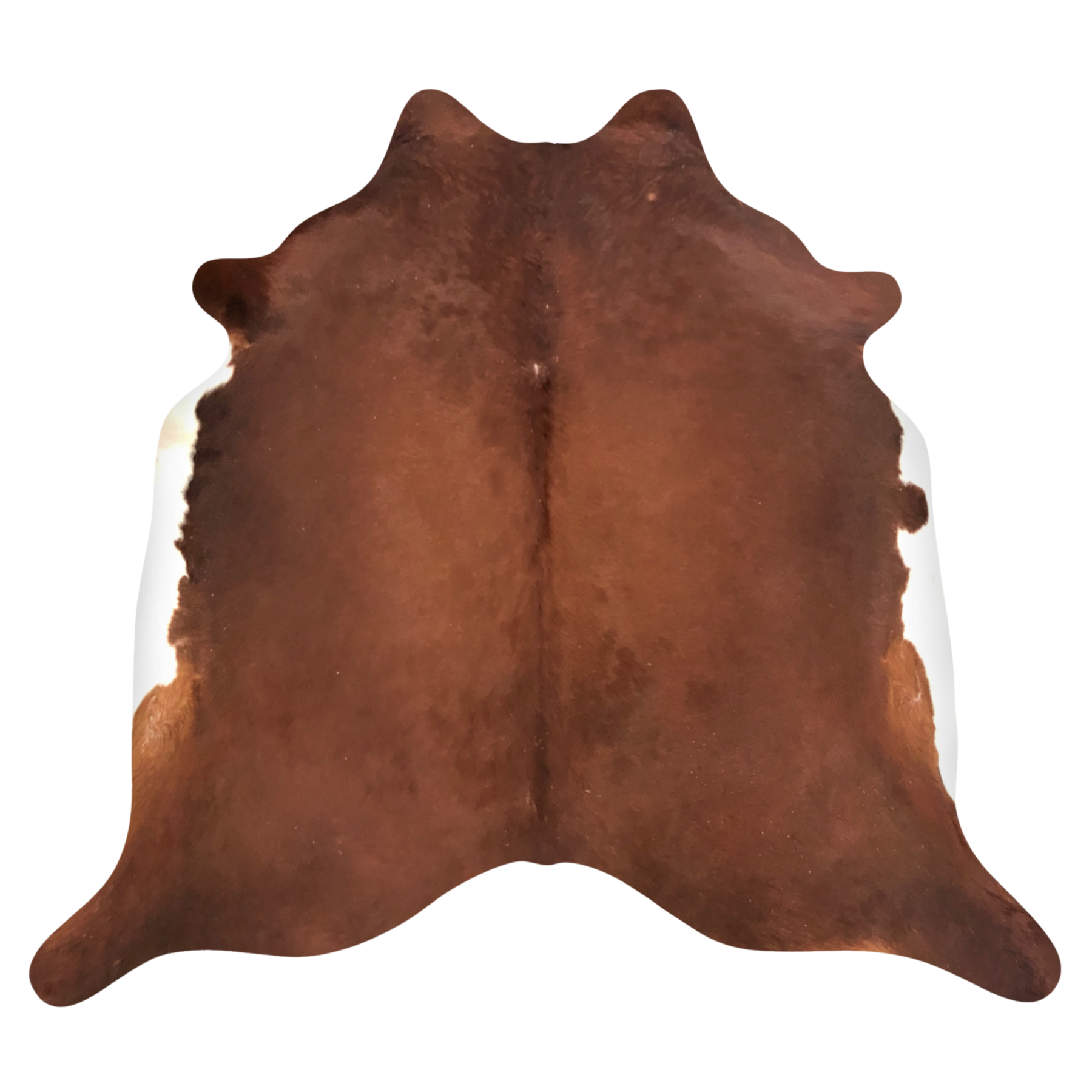 Natural Brazilian cowhide rug in Mocha & Ivory with Exotic markings, 225 x 236 cm