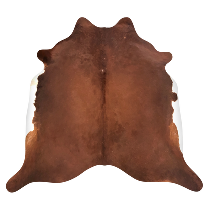 Natural Brazilian cowhide rug in Mocha & Ivory with Exotic markings, 225 x 236 cm