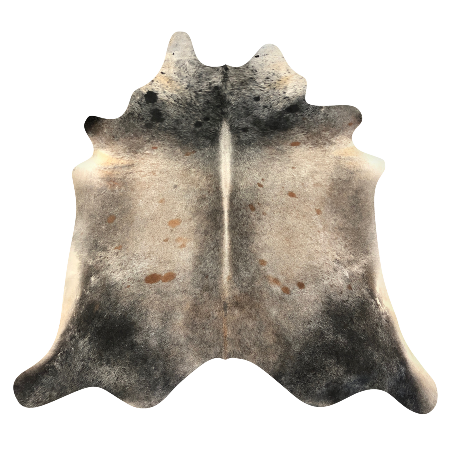 Natural Brazilian cowhide rug in Espresso, Beige & Mocha with Exotic markings, 210 x 226 cm