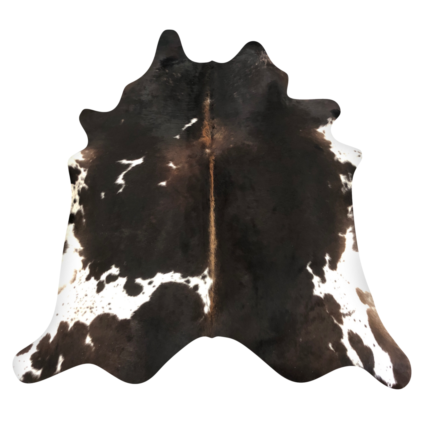 Natural Brazilian cowhide rug in Espresso, Ivory & Caramel with Exotic markings, 204 x 230 cm