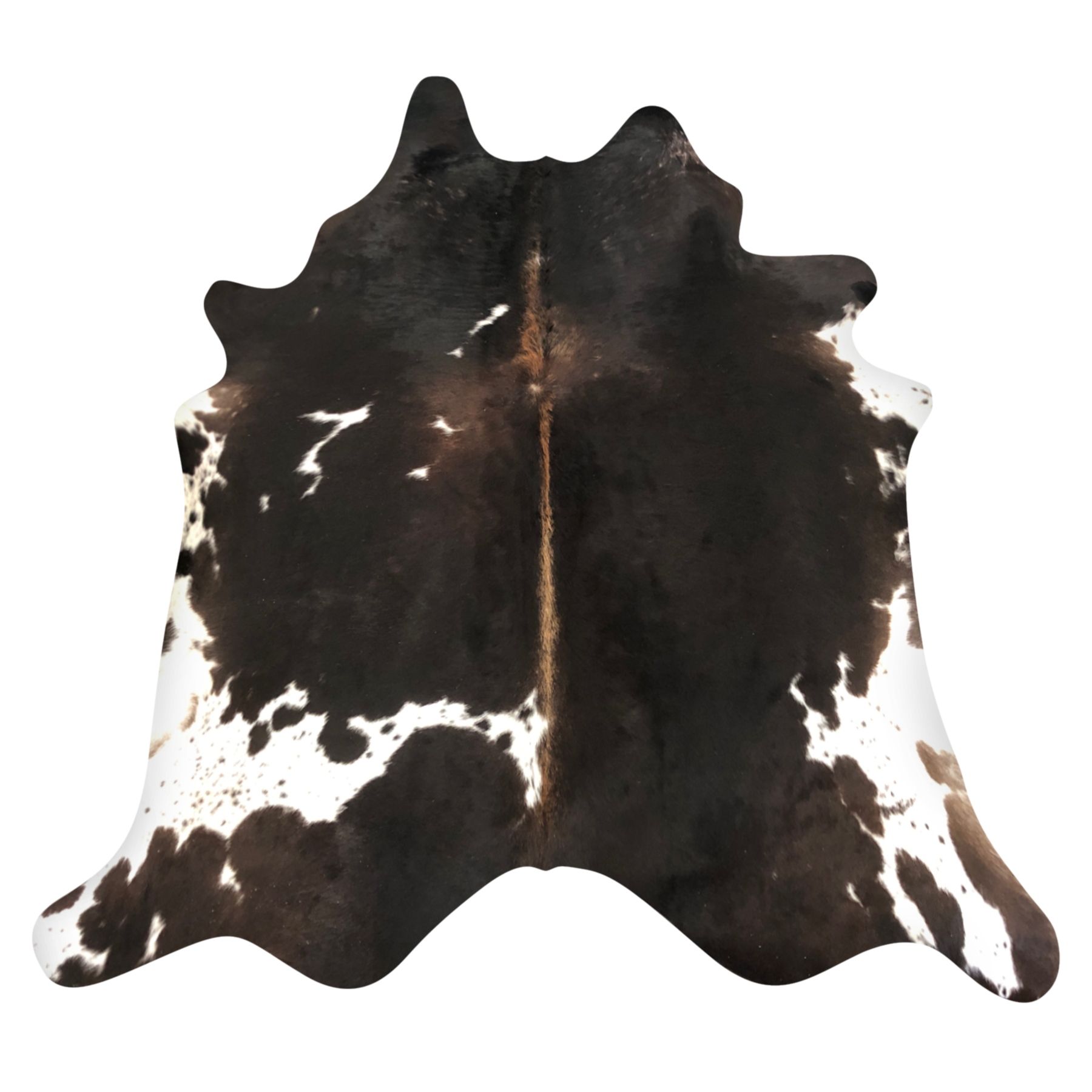 Natural Brazilian cowhide rug in Espresso, Ivory & Caramel with Exotic markings, 204 x 230 cm