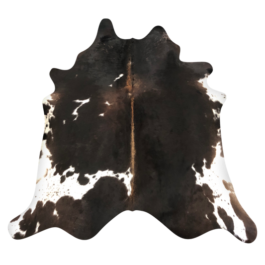 Natural Brazilian cowhide rug in Espresso, Ivory & Caramel with Exotic markings, 204 x 230 cm