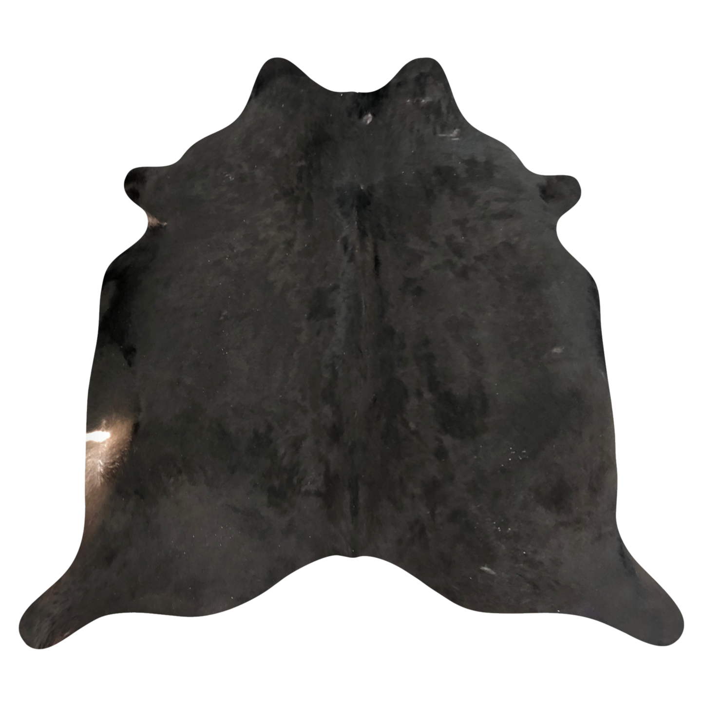 Natural Brazilian cowhide rug in Espresso & Ivory with Exotic markings, 240 x 240 cm