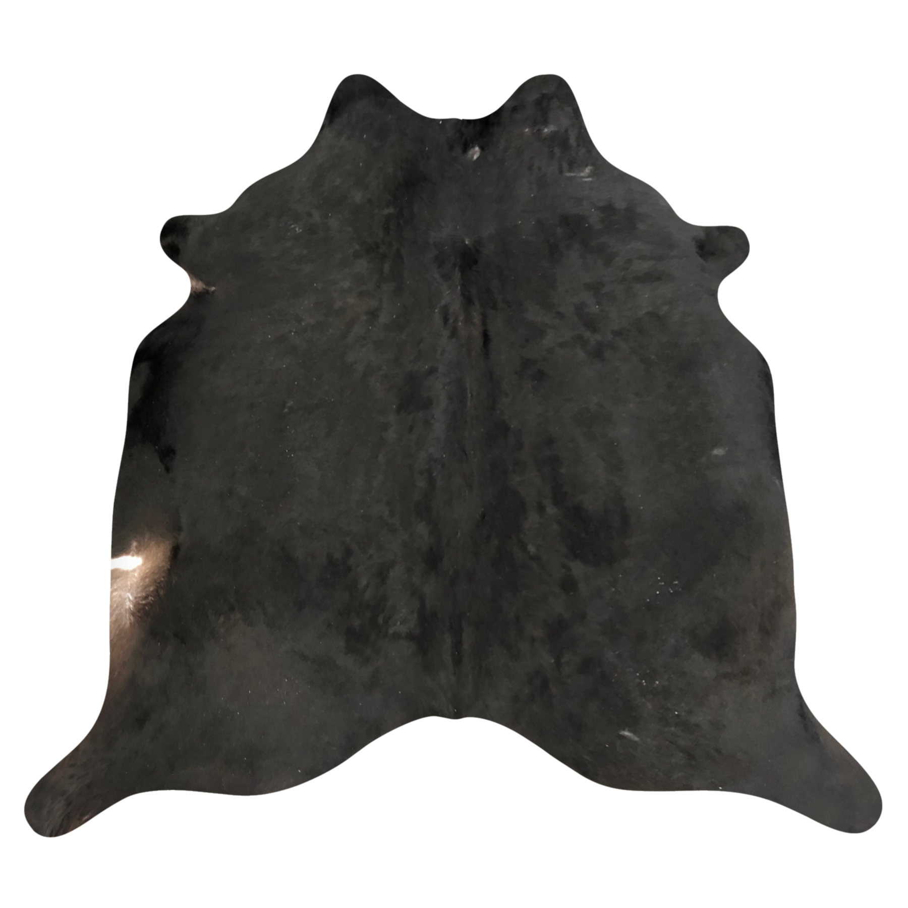 Natural Brazilian cowhide rug in Espresso & Ivory with Exotic markings, 240 x 240 cm