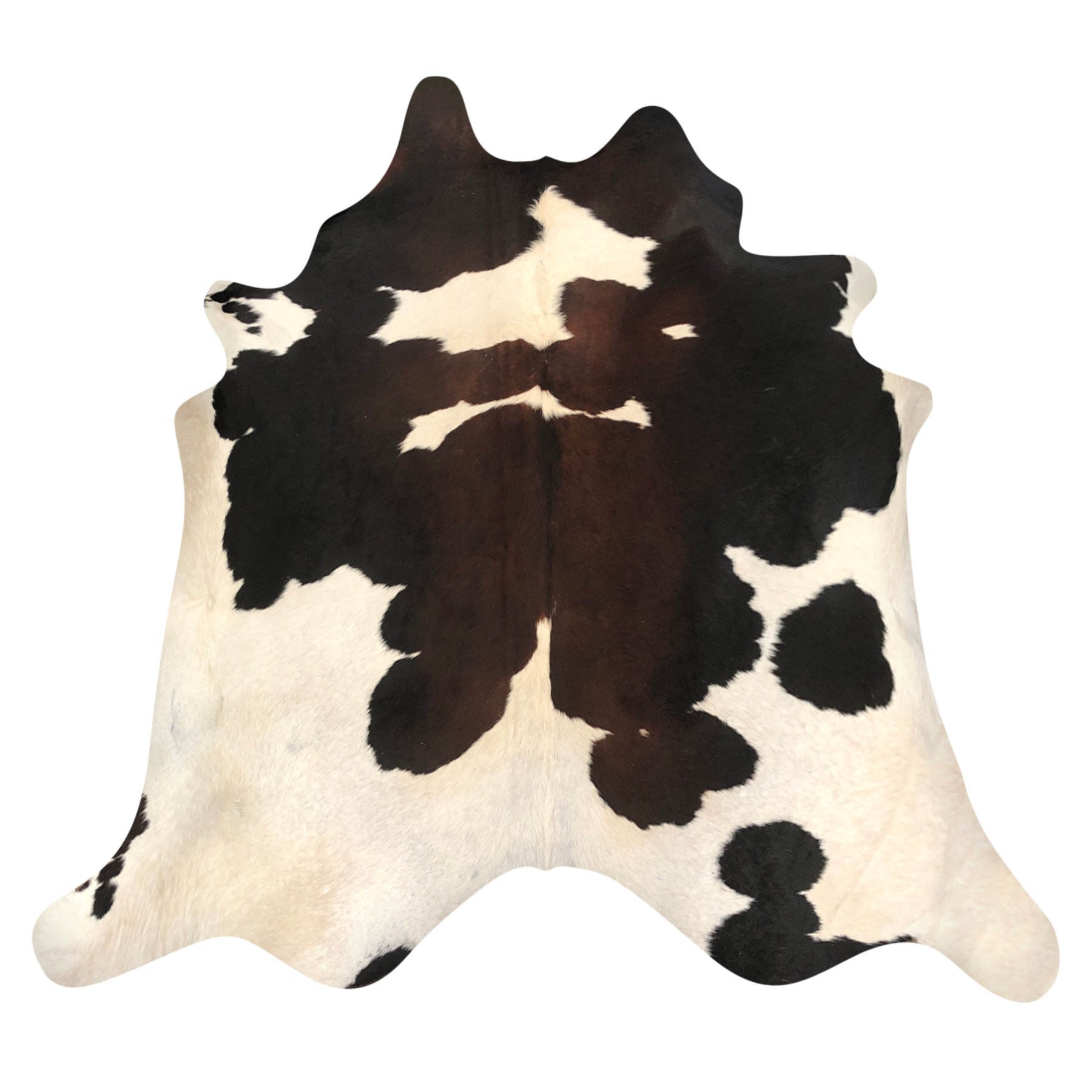 Natural Brazilian cowhide rug in Ivory, Mocha & Espresso with Exotic markings, 230 x 250 cm