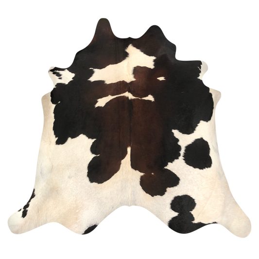 Natural Brazilian cowhide rug in Ivory, Mocha & Espresso with Exotic markings, 230 x 250 cm