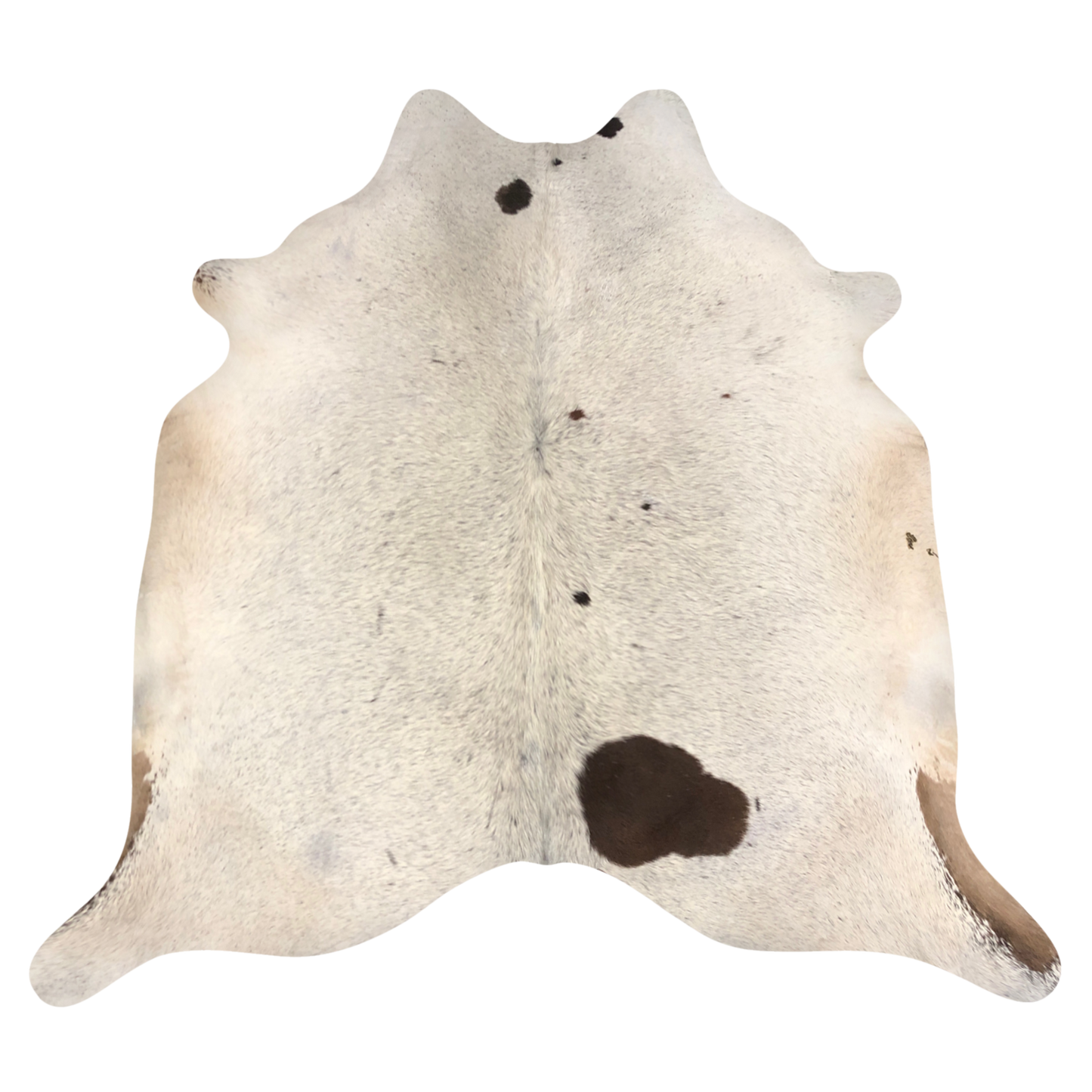 Natural Brazilian cowhide rug in Ivory, Taupe & Chocolate with Exotic markings, 204 x 230 cm