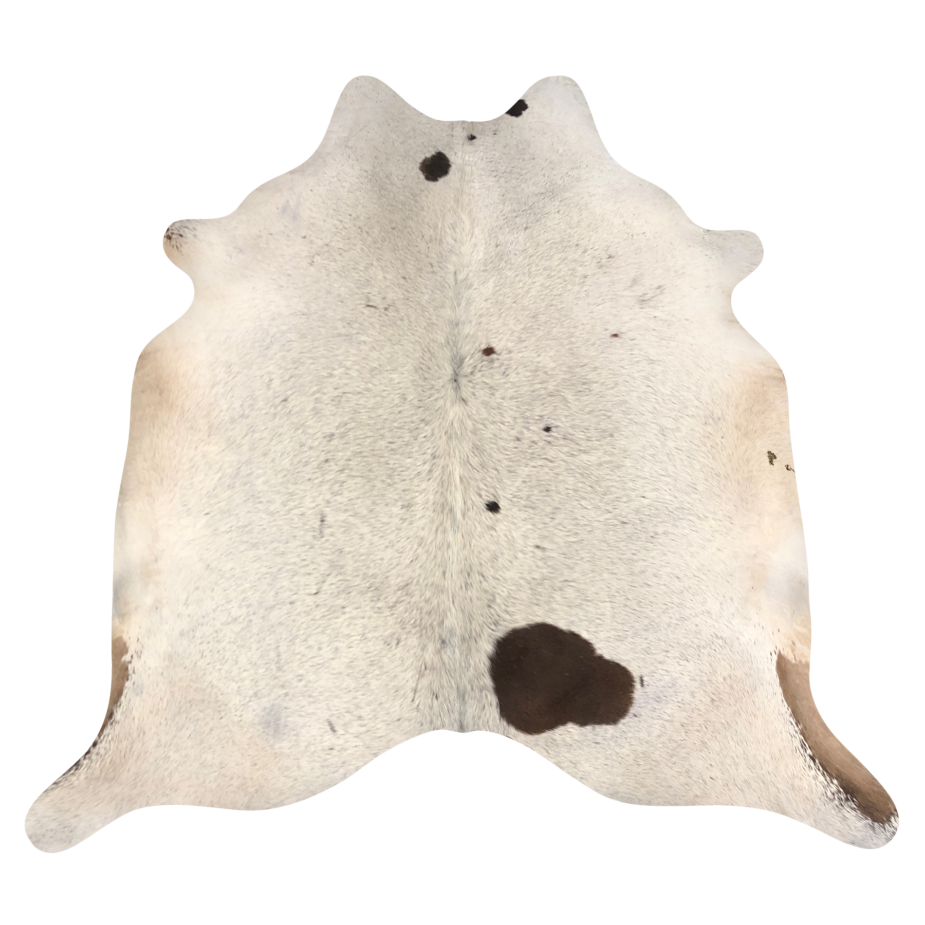 Natural Brazilian cowhide rug in Ivory, Taupe & Chocolate with Exotic markings, 204 x 230 cm