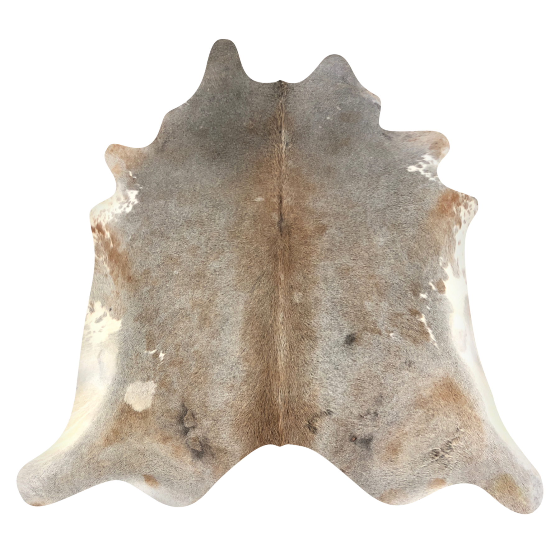 Natural Brazilian cowhide rug in Taupe, Caramel & Ivory with Exotic markings, 228 x 238 cm