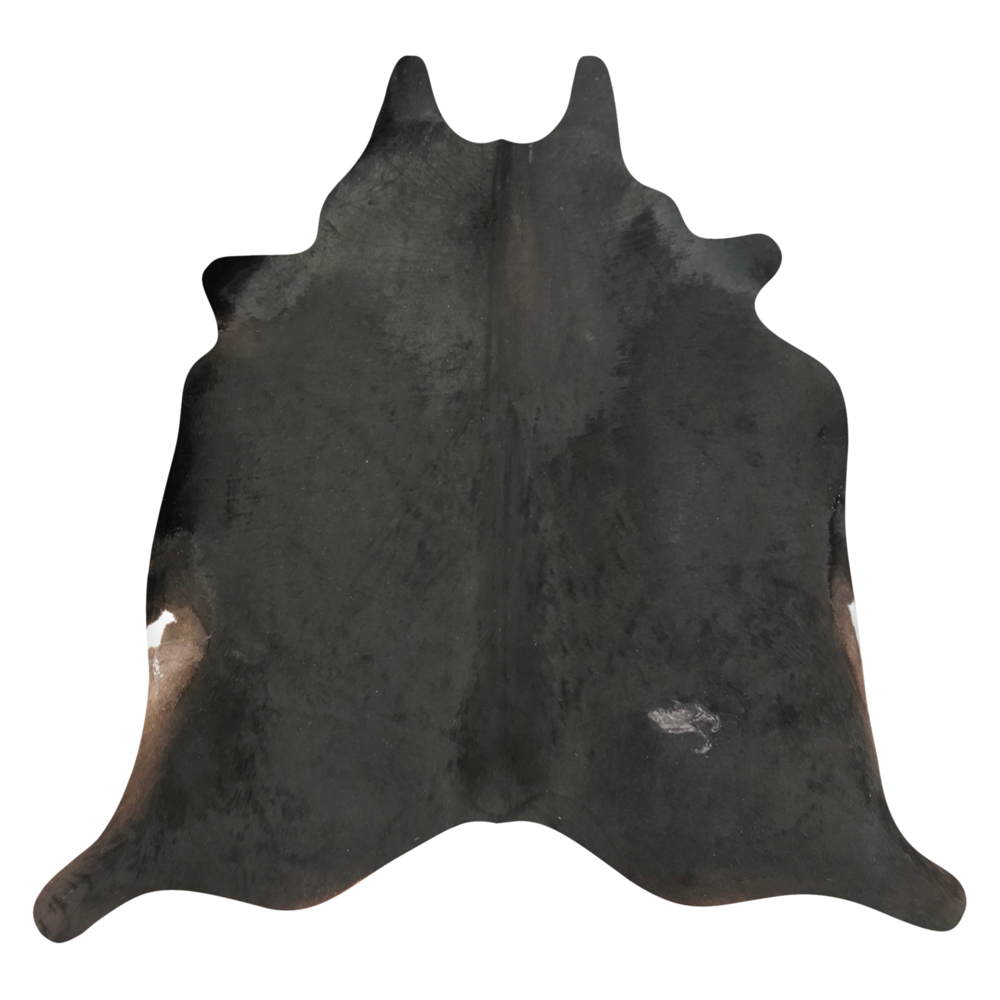 Natural Brazilian cowhide rug in Espresso & Ivory with Exotic markings, 220 x 240 cm