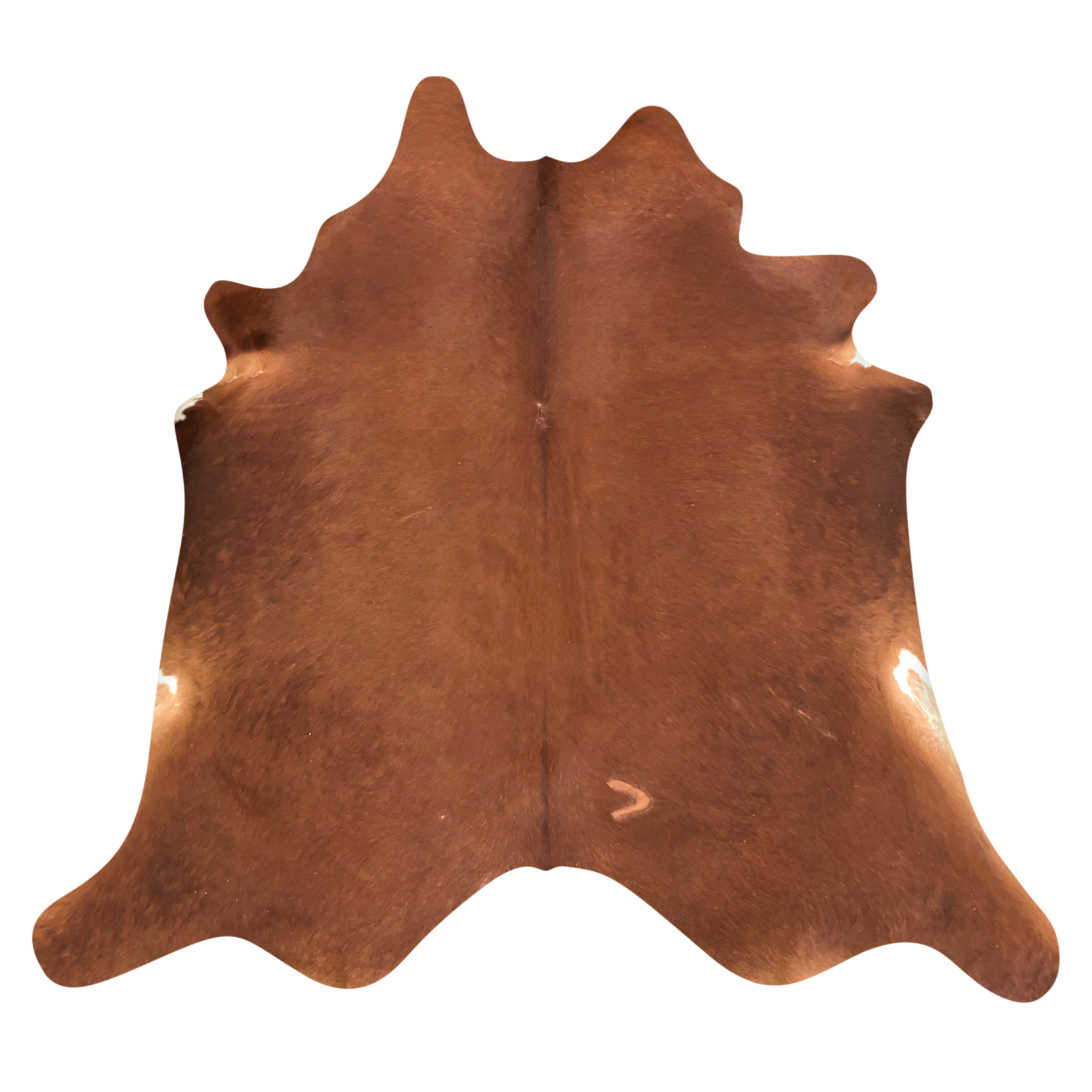Natural Brazilian cowhide rug in Mocha & Ivory with Exotic markings, 212 x 233 cm