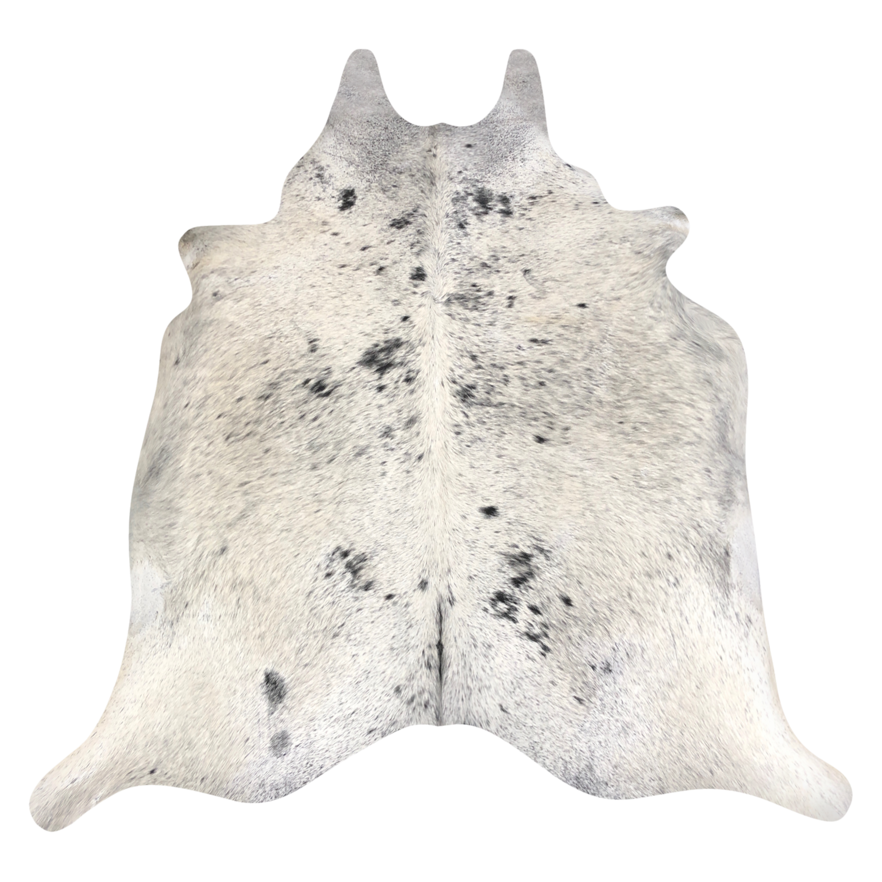 Natural Brazilian cowhide rug in Ivory, Espresso & Taupe with Exotic markings, 214 x 242 cm