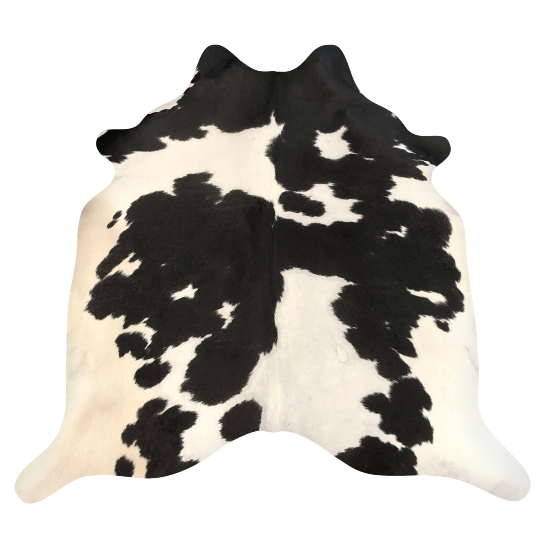 Natural Brazilian cowhide rug in Espresso & Ivory with Exotic markings, 200 x 238 cm