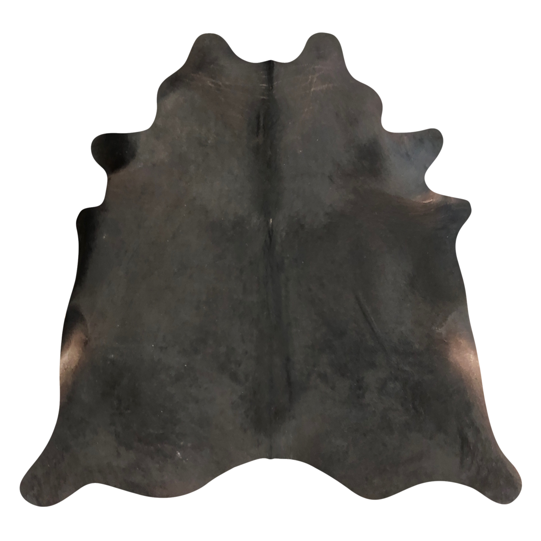 Natural Brazilian cowhide rug in Espresso with a solid, even tone, 212 x 234 cm