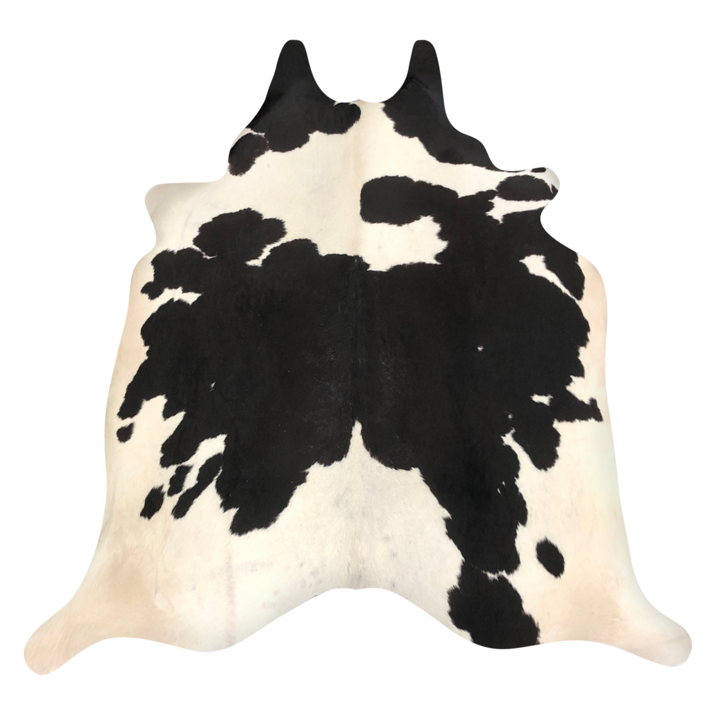 Natural Brazilian cowhide rug in Espresso & Ivory with Exotic markings, 214 x 240 cm