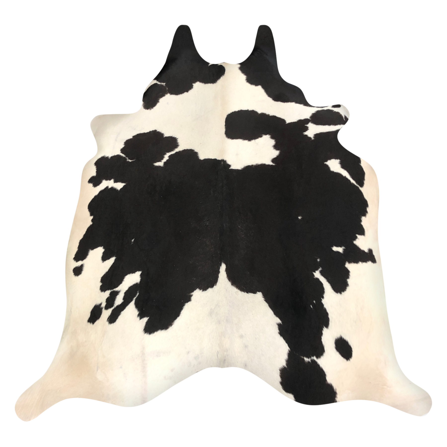 Natural Brazilian cowhide rug in Espresso & Ivory with Exotic markings, 214 x 240 cm