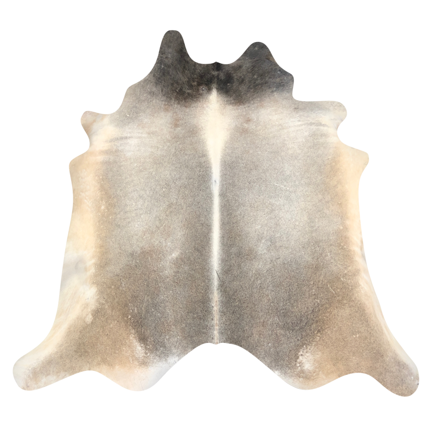 Natural Brazilian cowhide rug in Taupe, Beige & Ivory with Exotic markings, 230 x 250 cm