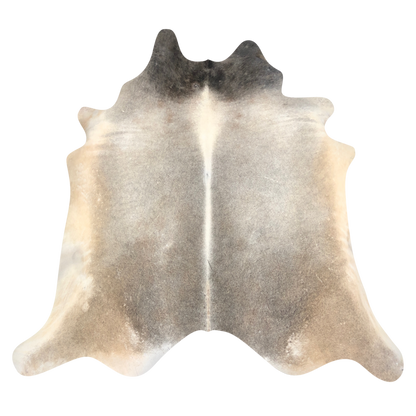 Natural Brazilian cowhide rug in Taupe, Beige & Ivory with Exotic markings, 230 x 250 cm