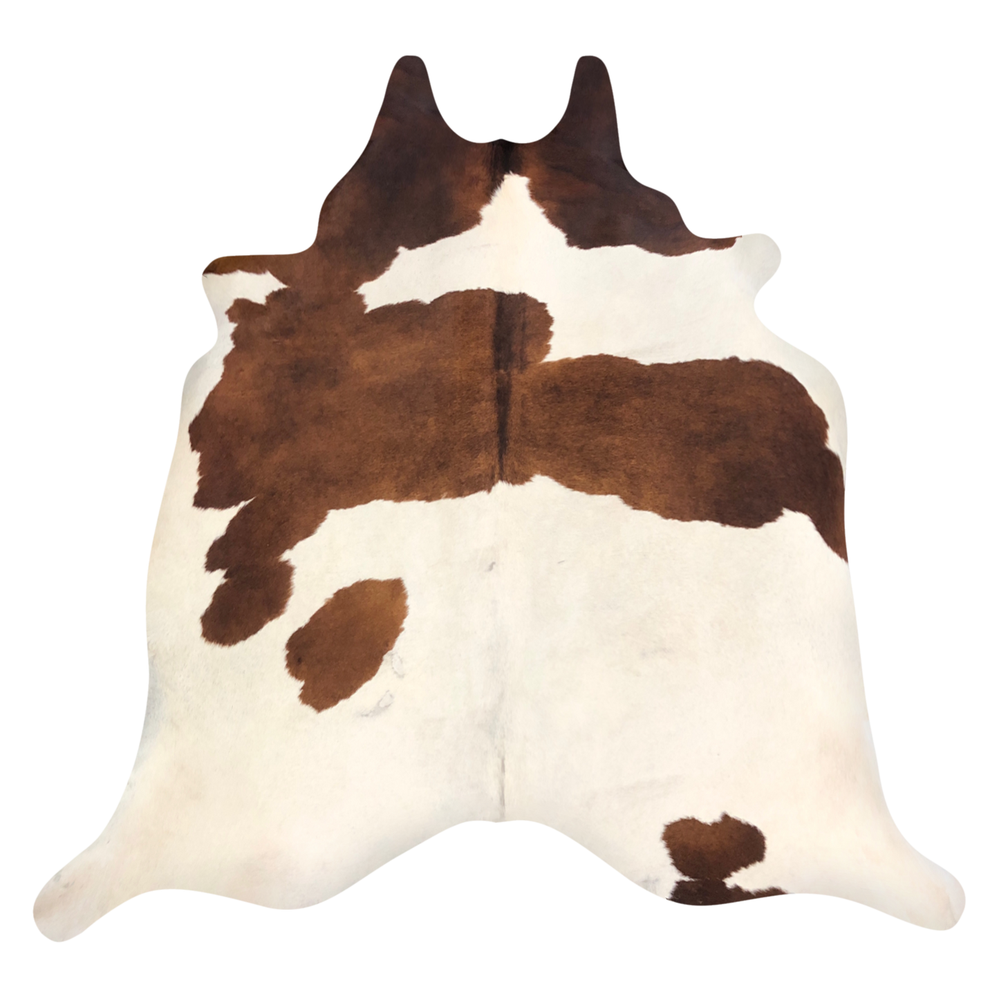 Natural Brazilian cowhide rug in Ivory & Mocha with Exotic markings, 220 x 240 cm