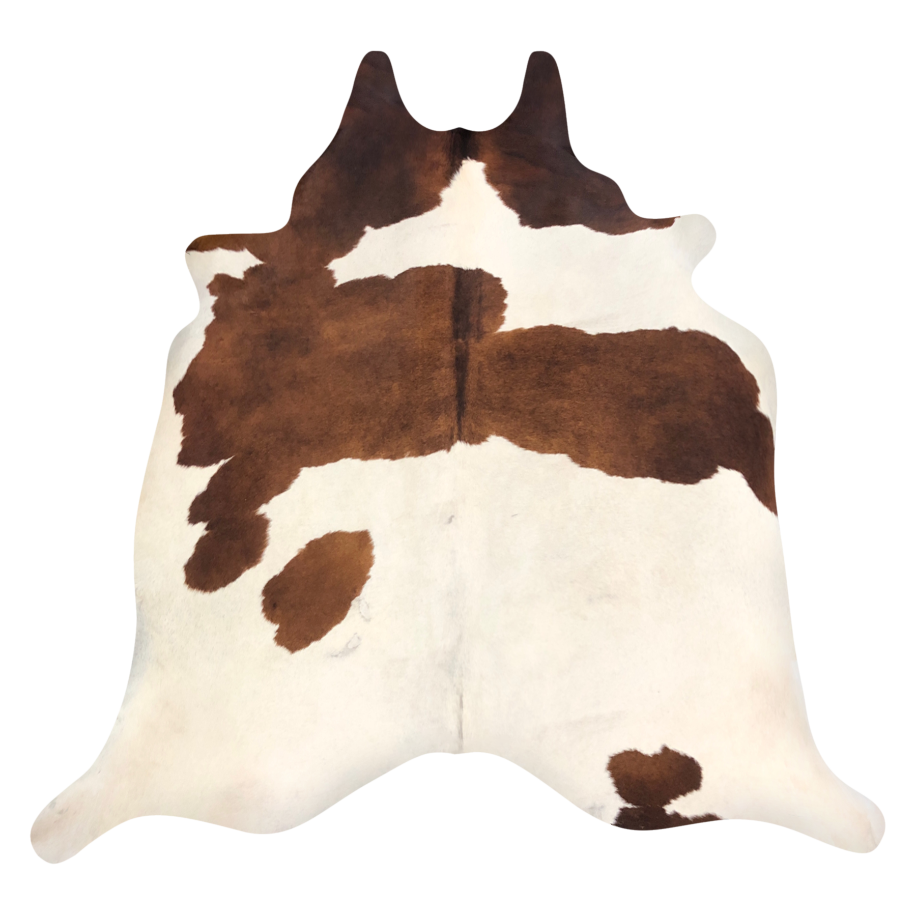 Natural Brazilian cowhide rug in Ivory & Mocha with Exotic markings, 220 x 240 cm