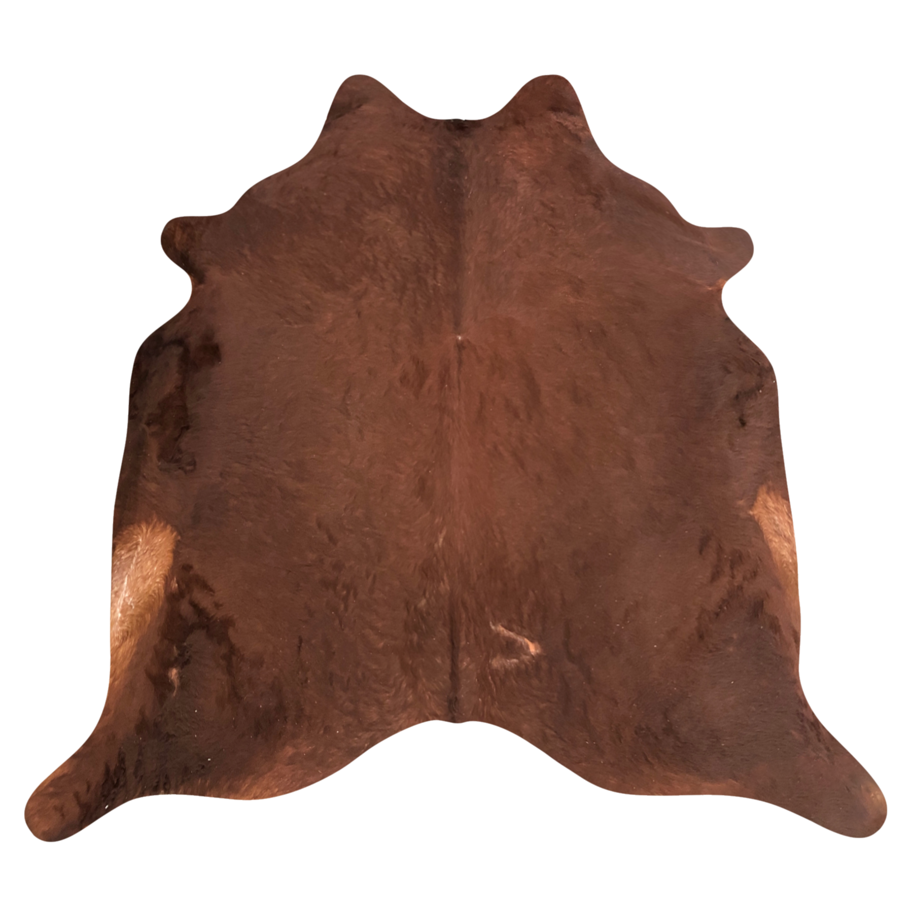 Natural Brazilian cowhide rug in Mocha with a solid, even tone, 228 x 234 cm