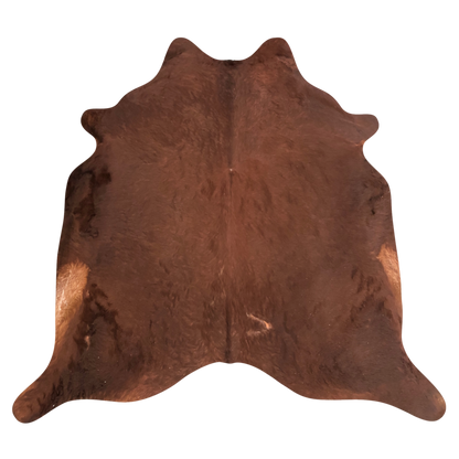 Natural Brazilian cowhide rug in Mocha with a solid, even tone, 228 x 234 cm
