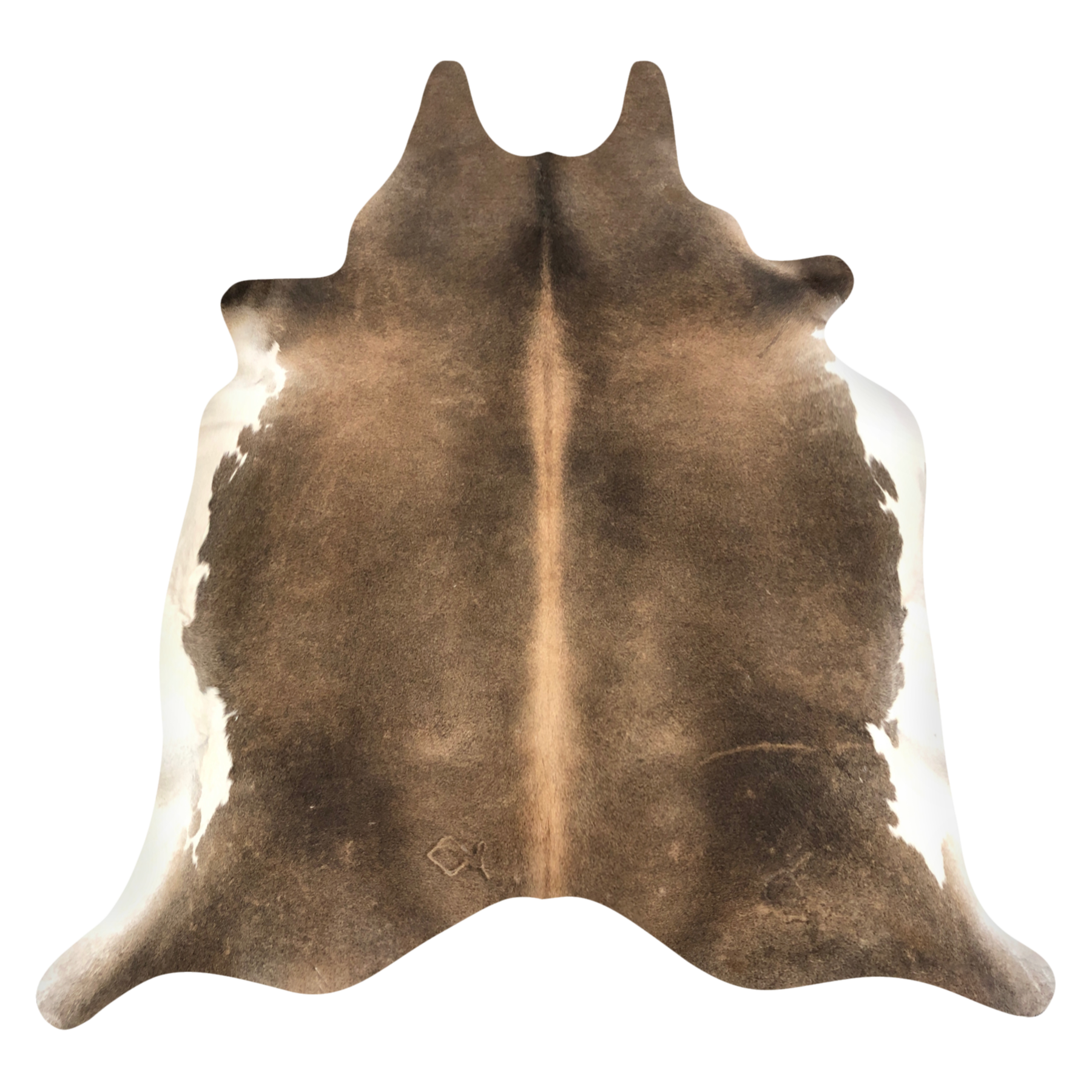 Natural Brazilian cowhide rug in Caramel, Espresso & Ivory with Exotic markings, 216 x 230 cm