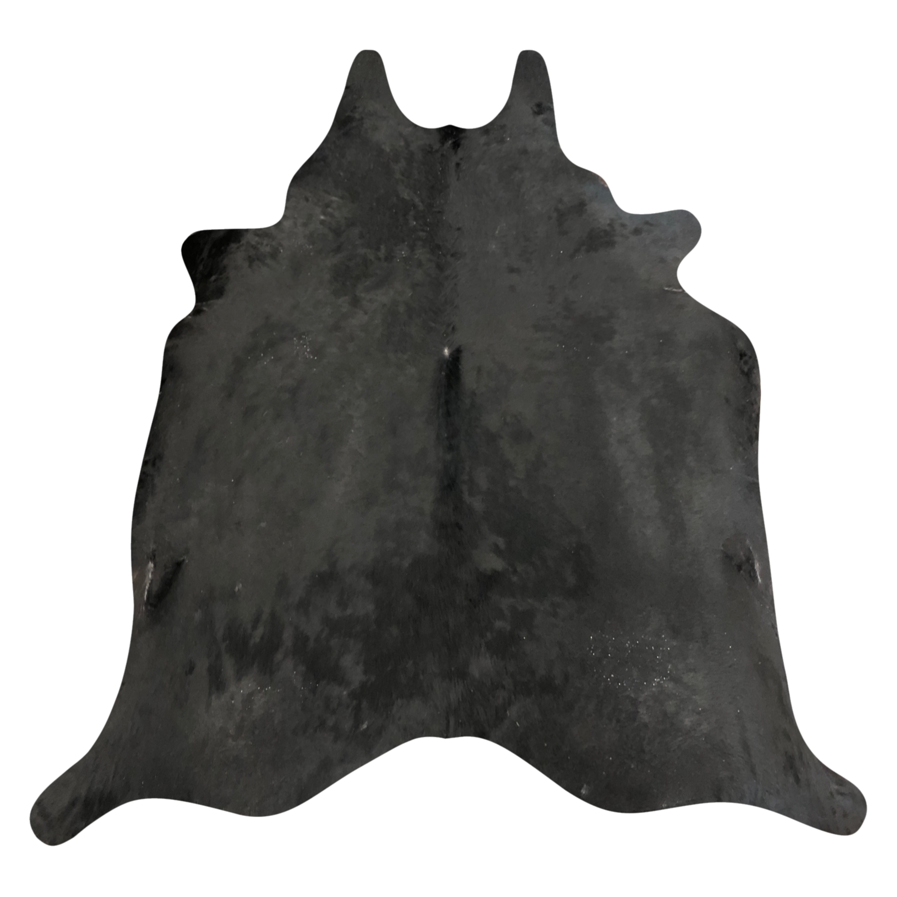 Natural Brazilian cowhide rug in Espresso with a solid, even tone, 222 x 235 cm