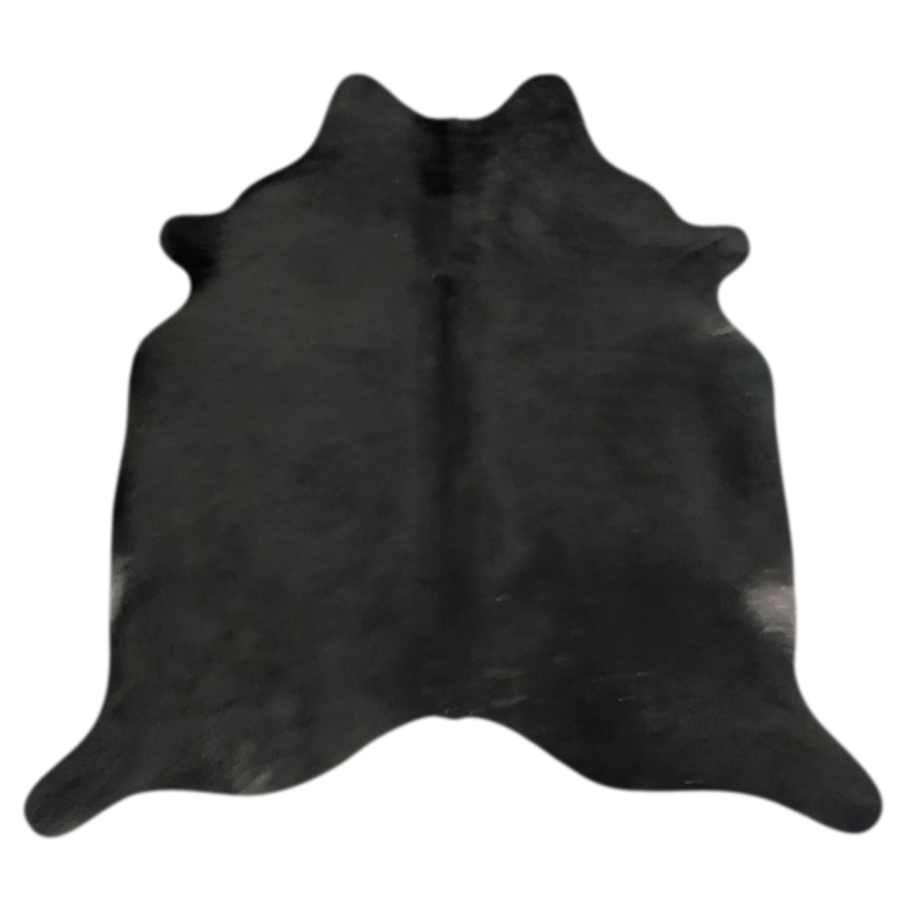 Natural Brazilian cowhide rug in Espresso with a solid, even tone, 208 x 230 cm