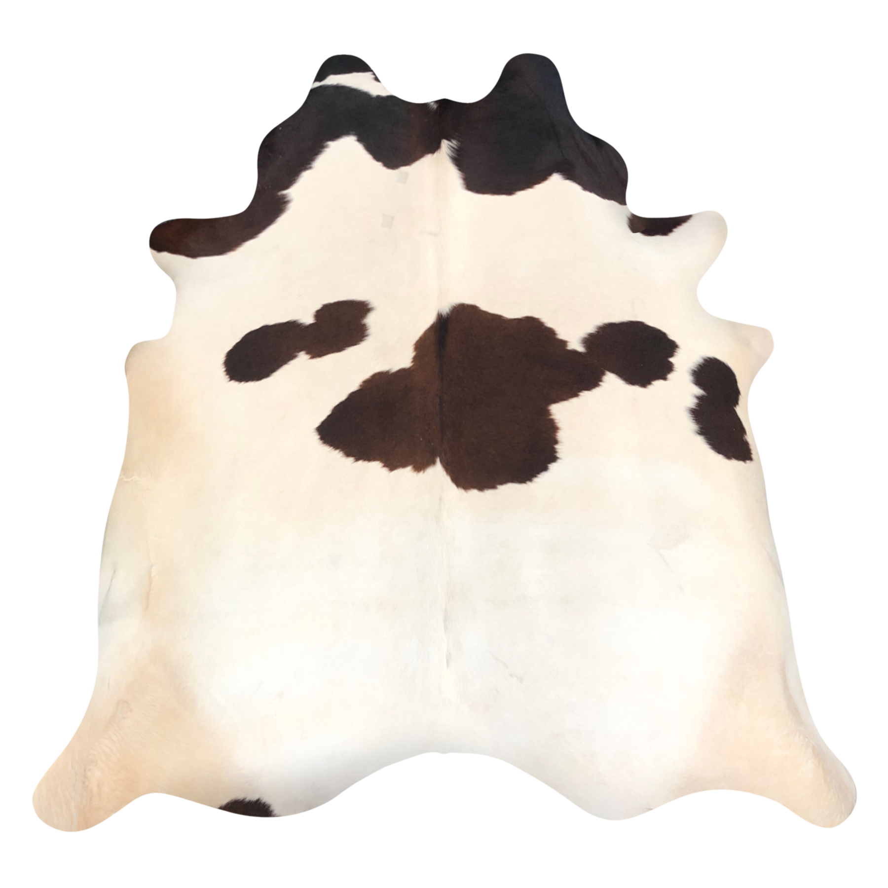 Natural Brazilian cowhide rug in Ivory, Mocha & Espresso with Exotic markings, 226 x 238 cm