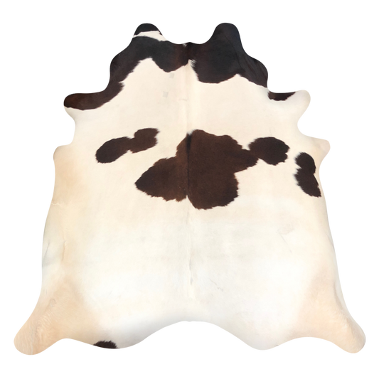 Natural Brazilian cowhide rug in Ivory, Mocha & Espresso with Exotic markings, 226 x 238 cm
