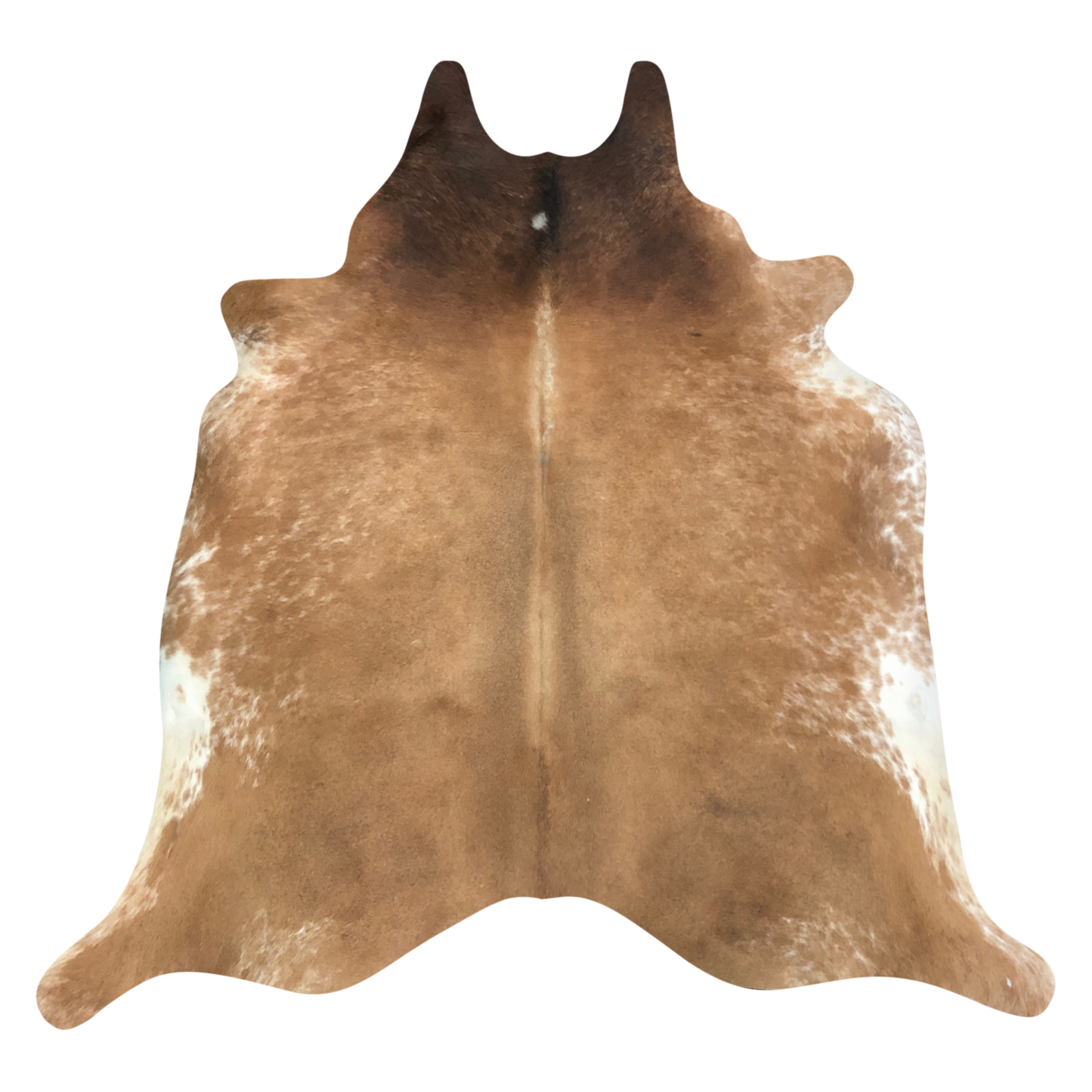 Natural Brazilian cowhide rug in Caramel, Mocha & Ivory with Exotic markings, 214 x 230 cm