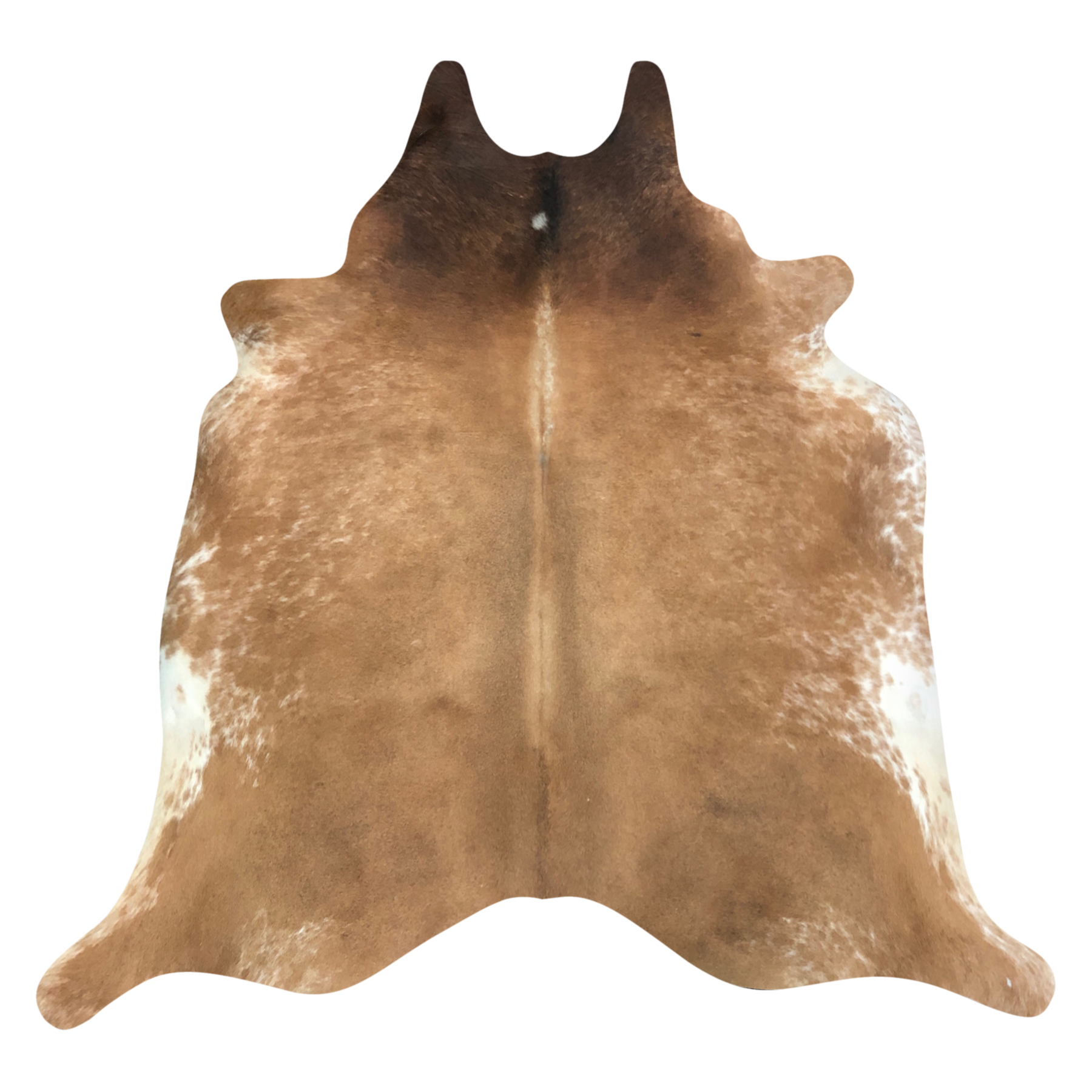 Natural Brazilian cowhide rug in Caramel, Mocha & Ivory with Exotic markings, 214 x 230 cm