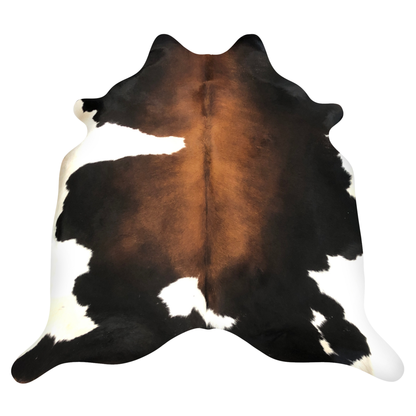 Natural Brazilian cowhide rug in Espresso, Mocha & Ivory with Exotic markings, 189 x 237 cm
